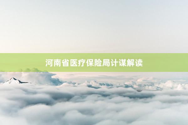 河南省医疗保险局计谋解读