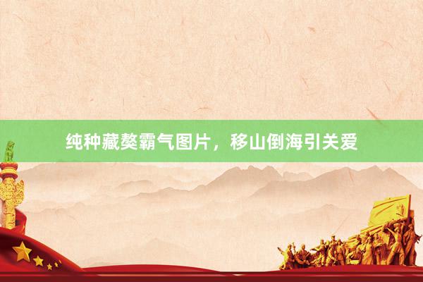 纯种藏獒霸气图片，移山倒海引关爱