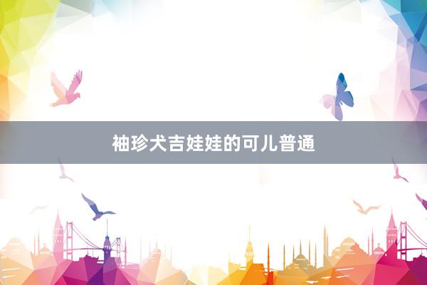 袖珍犬吉娃娃的可儿普通